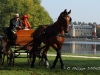 rambouillet_2011_jarno_03