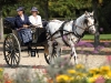 rambouillet_2011_jarno_04