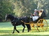 rambouillet_2011_jarno_06